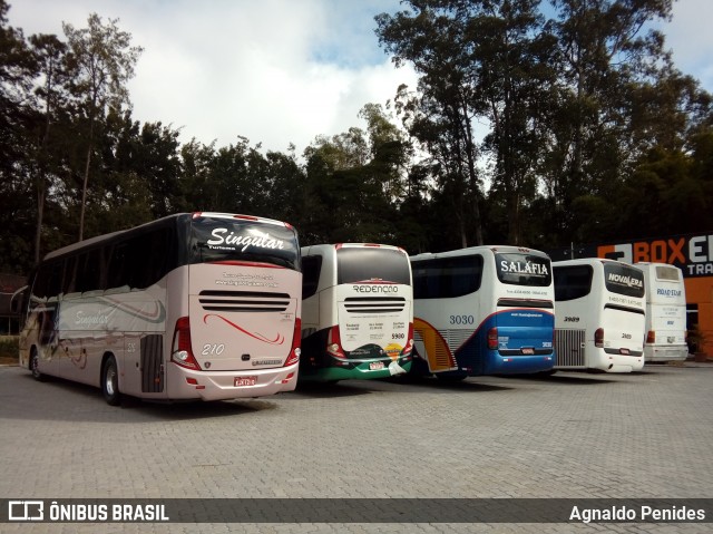 Singular Turismo 210 na cidade de São José dos Campos, São Paulo, Brasil, por Agnaldo Penides. Número da foto: #7412572.