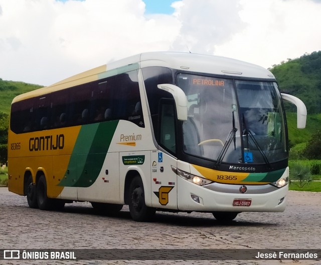 Empresa Gontijo de Transportes 18365 na cidade de Leopoldina, Minas Gerais, Brasil, por Jessé Fernandes. ID da foto: 7414101.