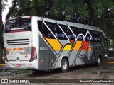 VB Transportes e Turismo 10019 na cidade de São Paulo, São Paulo, Brasil, por Ezequiel Vicente Fernandes. ID da foto: :id.