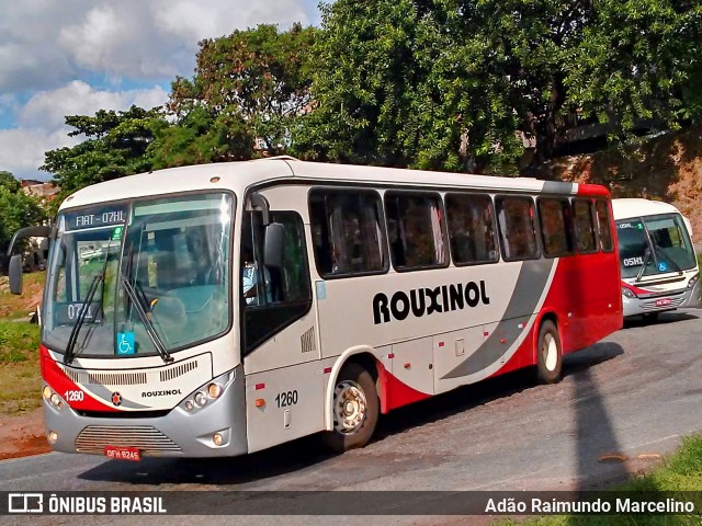 Rouxinol 1260 na cidade de Belo Horizonte, Minas Gerais, Brasil, por Adão Raimundo Marcelino. Número da foto: #7419580.