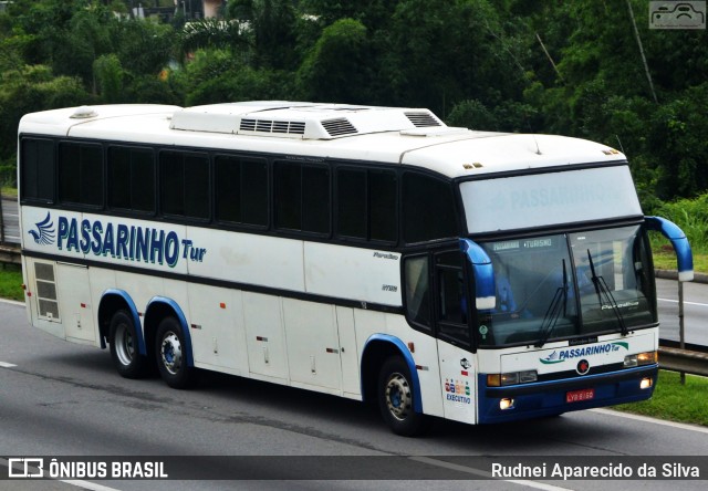 Passarinho Tur 8160 na cidade de Santa Isabel, São Paulo, Brasil, por Rudnei Aparecido da Silva. Número da foto: #7422033.