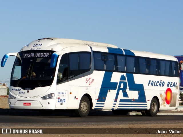 Falcão Real 23150 na cidade de Juazeiro, Bahia, Brasil, por João Victor. Número da foto: #7426315.