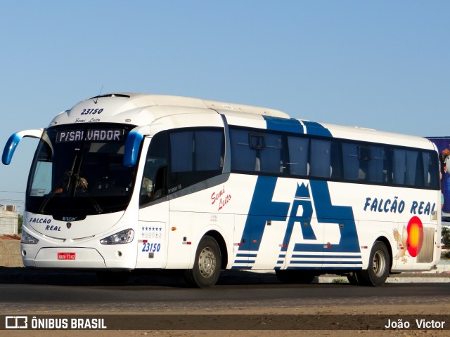 Falcão Real 23150 na cidade de Juazeiro, Bahia, Brasil, por João Victor. ID da foto: 7426315.