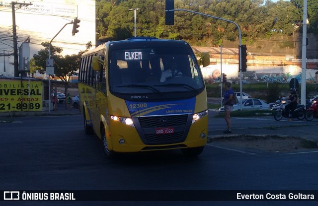 Viação Lírio dos Vales 12300 na cidade de Cariacica, Espírito Santo, Brasil, por Everton Costa Goltara. Número da foto: #7424015.