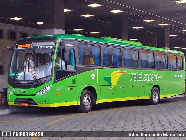 Setelagoano 15123 na cidade de Belo Horizonte, Minas Gerais, Brasil, por Adão Raimundo Marcelino. Número da foto: #7426471.