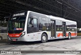 Express Transportes Urbanos Ltda 4 8202 na cidade de São Paulo, São Paulo, Brasil, por Hipólito Rodrigues. Número da foto: #:id.