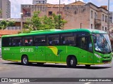 Pássaro Verde 19173 na cidade de Belo Horizonte, Minas Gerais, Brasil, por Adão Raimundo Marcelino. Número da foto: #:id.