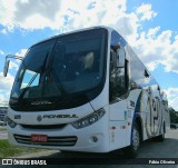 Empresa de Transportes Pionesul 125 na cidade de Pelotas, Rio Grande do Sul, Brasil, por Fábio Oliveira. Número da foto: #:id.