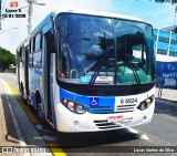 Transwolff Transportes e Turismo 6 6924 na cidade de São Paulo, São Paulo, Brasil, por Lucas Santos da Silva. Número da foto: #7444978.