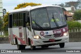 Transporte Alternativo de São Vicente 364 na cidade de Caçapava, São Paulo, Brasil, por Everaldo Bordini. Número da foto: #7449004.