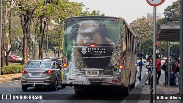 Prefeitura Municipal de Belo Horizonte EXPRESSO AMBIENTAL na cidade de Belo Horizonte, Minas Gerais, Brasil, por Ailton Alves. Número da foto: #7452477.