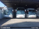 Magalhães Turismo 10101 na cidade de São Paulo, São Paulo, Brasil, por  Rogerio Porttuga. Número da foto: #7458689.