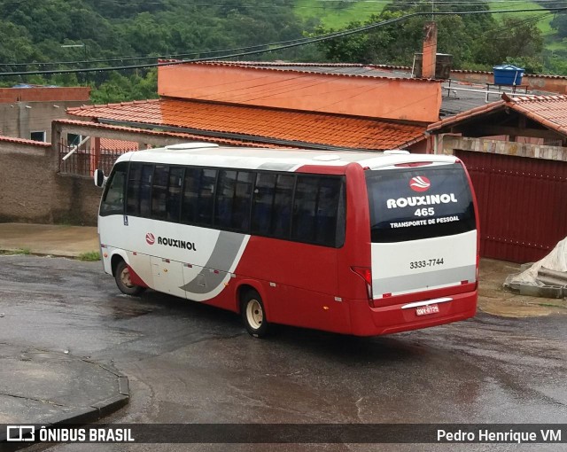 Rouxinol 465 na cidade de Ibirité, Minas Gerais, Brasil, por Pedro Henrique VM. Número da foto: #7465014.
