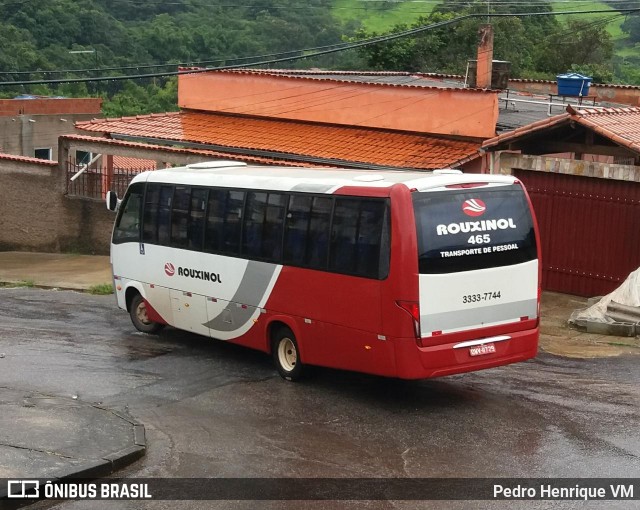 Rouxinol 465 na cidade de Ibirité, Minas Gerais, Brasil, por Pedro Henrique VM. ID da foto: 7465014.