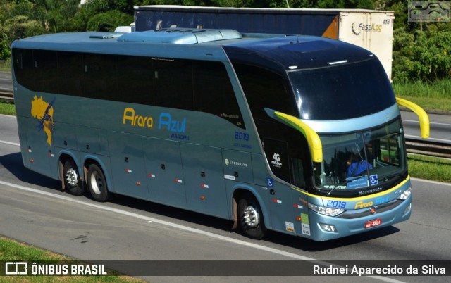 Arara Azul Transportes 2019 na cidade de Santa Isabel, São Paulo, Brasil, por Rudnei Aparecido da Silva. ID da foto: 7472979.