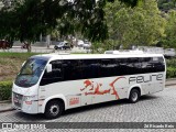 Feline Tur 2020 na cidade de Petrópolis, Rio de Janeiro, Brasil, por Zé Ricardo Reis. Número da foto: #7472305.