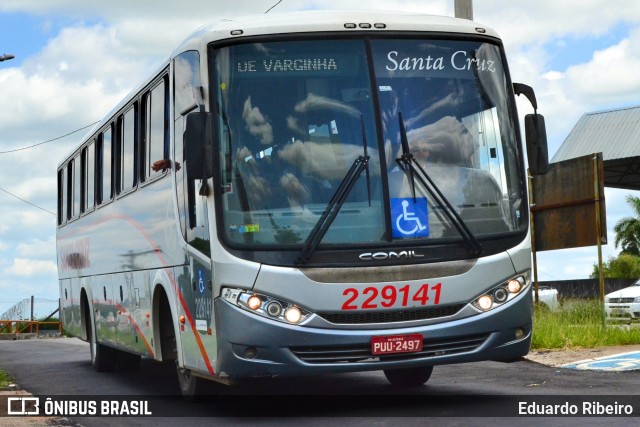 Viação Santa Cruz 229141 na cidade de Varginha, Minas Gerais, Brasil, por Eduardo Ribeiro. Número da foto: #7475403.