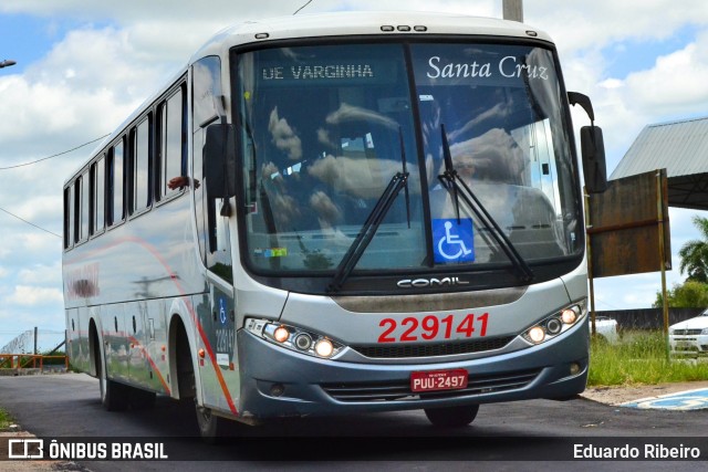 Viação Santa Cruz 229141 na cidade de Varginha, Minas Gerais, Brasil, por Eduardo Ribeiro. ID da foto: 7475403.