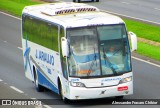 J. Araujo 2025 na cidade de Campo Largo, Paraná, Brasil, por Alessandro Fracaro Chibior. Número da foto: #7475358.