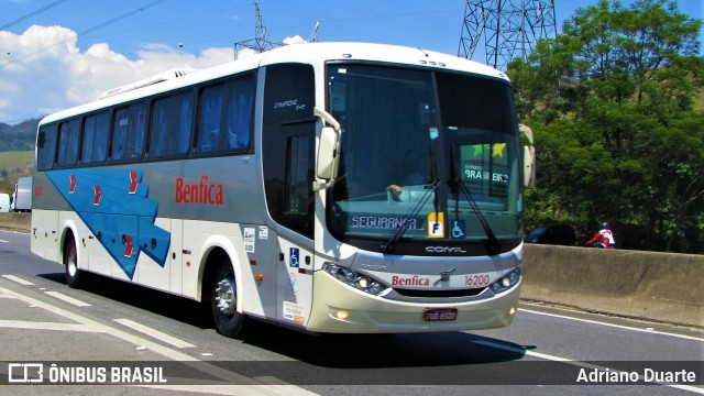 Transportadora Turística Benfica 16200 na cidade de Roseira, São Paulo, Brasil, por Adriano Duarte. Número da foto: #7389672.