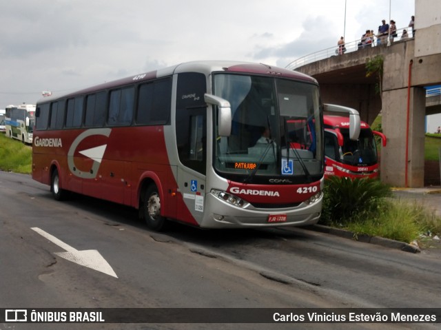 Expresso Gardenia 4210 na cidade de Campinas, São Paulo, Brasil, por Carlos Vinicius Estevão Menezes. ID da foto: 7391207.