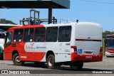 Expresso Luziense > Territorial Com. Part. e Empreendimentos 30665 na cidade de Santa Luzia, Minas Gerais, Brasil, por Marcelo Ribeiro. Número da foto: #7390842.