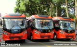 Viação Cidade Sorriso >> Viação Sorriso de Curitiba GE732 na cidade de Curitiba, Paraná, Brasil, por Alessandro Fracaro Chibior. Número da foto: #7389337.