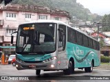 Rosa Turismo 13190 na cidade de Petrópolis, Rio de Janeiro, Brasil, por Zé Ricardo Reis. Número da foto: #7389874.