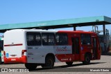 Expresso Luziense > Territorial Com. Part. e Empreendimentos 30665 na cidade de Santa Luzia, Minas Gerais, Brasil, por Marcelo Ribeiro. Número da foto: #7390827.