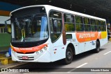 Autotrans > Turilessa 6760 na cidade de Varginha, Minas Gerais, Brasil, por Eduardo Ribeiro. Número da foto: #7478700.