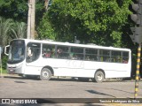 TCL - Transporte Coletivo Leo 35 na cidade de Cataguases, Minas Gerais, Brasil, por Tarcisio Rodrigues da Silva. ID da foto: :id.