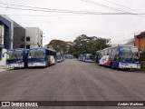 Lumaca  na cidade de San José, San José, Costa Rica, por Andrés Martínez Rodríguez. Número da foto: #7481139.