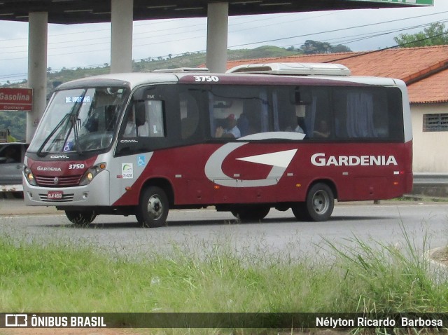 Expresso Gardenia 3750 na cidade de Lavras, Minas Gerais, Brasil, por Nélyton Ricardo  Barbosa. ID da foto: 7393670.