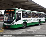 Viação Galo Branco RJ 181.084 na cidade de Niterói, Rio de Janeiro, Brasil, por Gabriel Henrique Lima. Número da foto: #7392045.