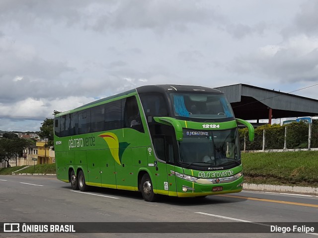 Pássaro Verde 12124 na cidade de Formiga, Minas Gerais, Brasil, por Diego Felipe. Número da foto: #7398295.