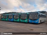 ANSAL - Auto Nossa Senhora de Aparecida  na cidade de Juiz de Fora, Minas Gerais, Brasil, por Junin Solano. Número da foto: #:id.