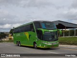 Pássaro Verde 12124 na cidade de Formiga, Minas Gerais, Brasil, por Diego Felipe. Número da foto: #:id.