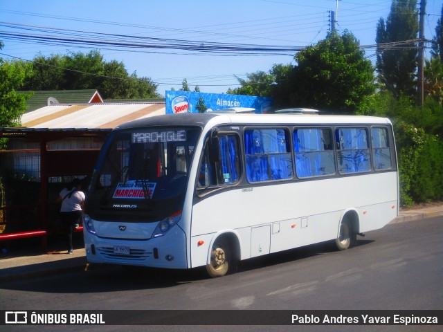 Peña Express LVYH79 na cidade de Santa Cruz, Colchagua, Libertador General Bernardo O'Higgins, Chile, por Pablo Andres Yavar Espinoza. Número da foto: #7401048.
