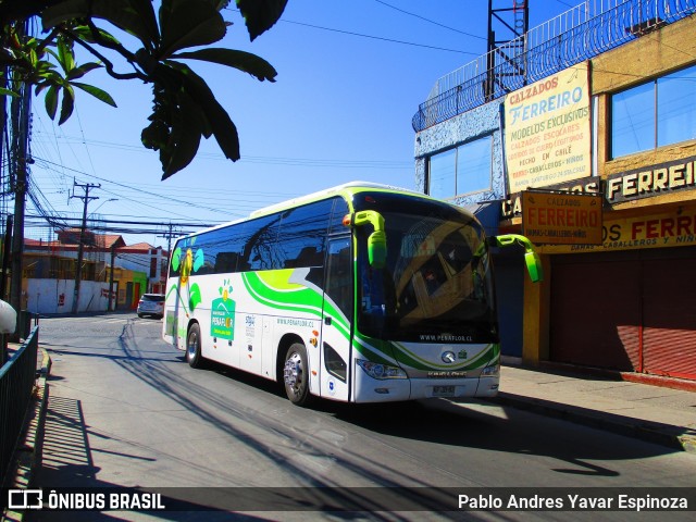 Gobierno Regional Metropolitano de Santiago ILUSTRE MUNICIPALIDAD DE PEñAFLOR na cidade de Santa Cruz, Colchagua, Libertador General Bernardo O'Higgins, Chile, por Pablo Andres Yavar Espinoza. Número da foto: #7401066.