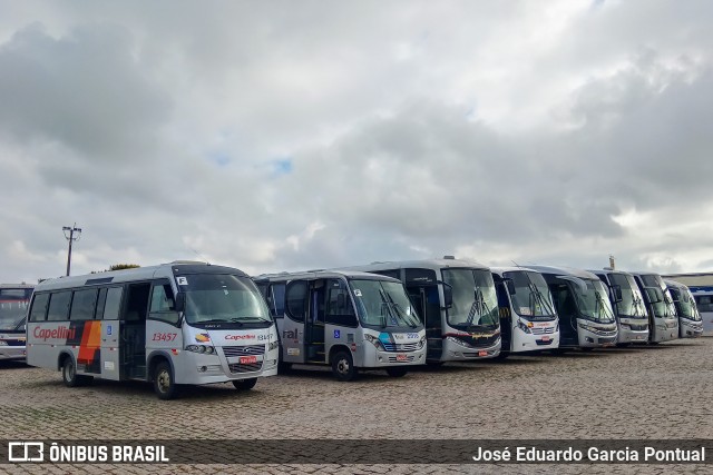 Transportes Capellini 13457 na cidade de Hortolândia, São Paulo, Brasil, por José Eduardo Garcia Pontual. Número da foto: #7400388.