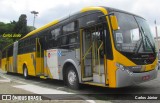 Transportes Capellini 23003 na cidade de São Paulo, São Paulo, Brasil, por Carlos Júnior. Número da foto: #7400773.