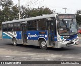 Auto Ônibus Fagundes RJ 101.189 na cidade de Niterói, Rio de Janeiro, Brasil, por Gabriel Henrique Lima. Número da foto: #:id.