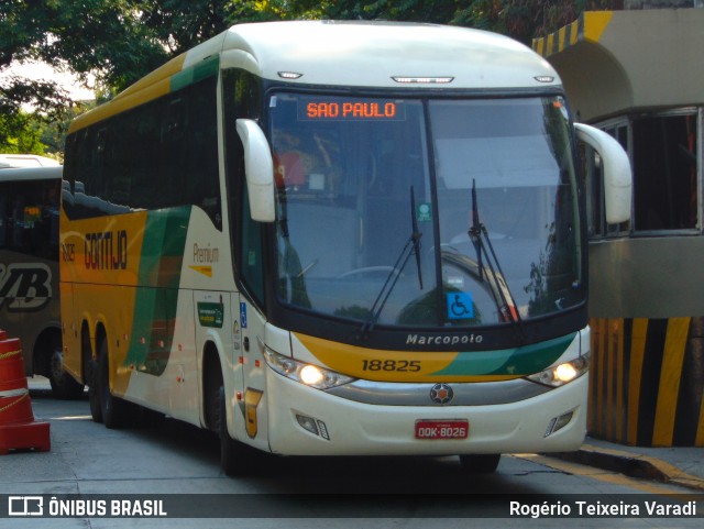 Empresa Gontijo de Transportes 18825 na cidade de São Paulo, São Paulo, Brasil, por Rogério Teixeira Varadi. ID da foto: 7403233.