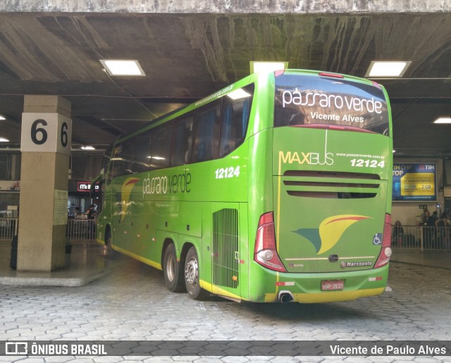 Pássaro Verde 12124 na cidade de Belo Horizonte, Minas Gerais, Brasil, por Vicente de Paulo Alves. Número da foto: #7404715.