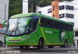 Pássaro Verde 1042 na cidade de Viçosa, Minas Gerais, Brasil, por Luis Soares. Número da foto: #:id.
