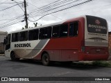 Rouxinol 696 na cidade de Belo Horizonte, Minas Gerais, Brasil, por Ailton Alves. Número da foto: #:id.
