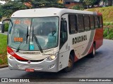 Rouxinol 1525 na cidade de Belo Horizonte, Minas Gerais, Brasil, por Adão Raimundo Marcelino. Número da foto: #7404486.