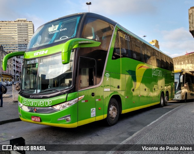 Pássaro Verde 12124 na cidade de Belo Horizonte, Minas Gerais, Brasil, por Vicente de Paulo Alves. ID da foto: 7405822.