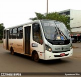 Cootarde 522431 na cidade de Taguatinga, Distrito Federal, Brasil, por Lyanderson Silva. Número da foto: #7407299.