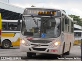Viação Presidente 8220 na cidade de São João del Rei, Minas Gerais, Brasil, por Tarcisio Rodrigues da Silva. Número da foto: #7406933.